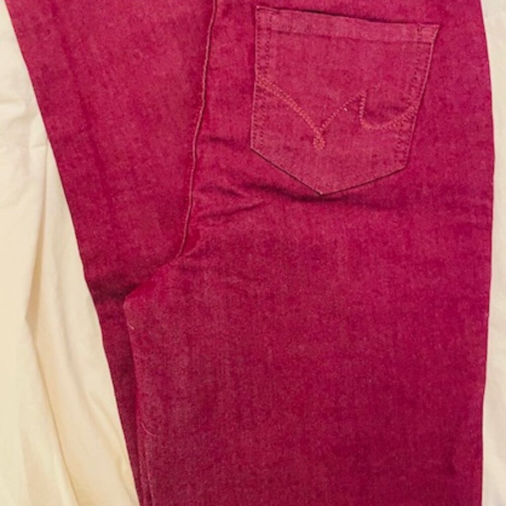 DG2 Wine colored pants